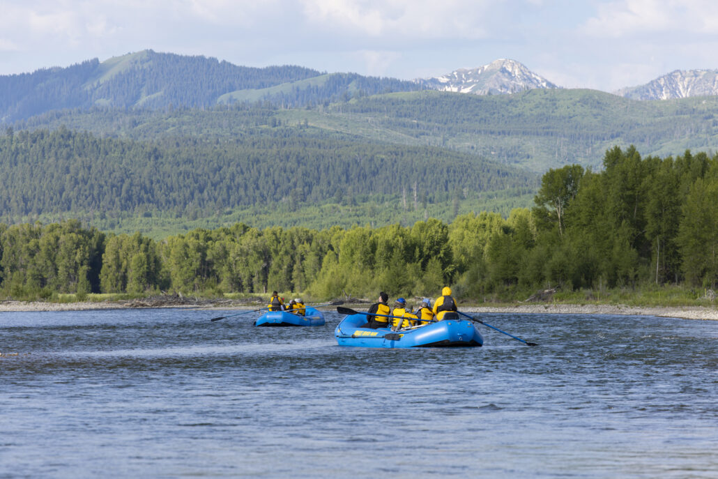 Two blue rafts float down the scenic Snake River in Wyoming.